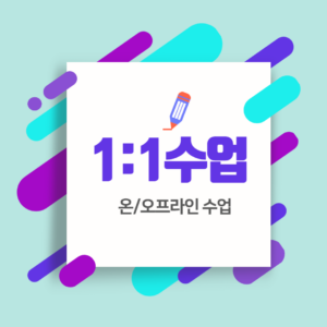1:1 개인지도(주1회)