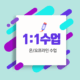 1:1 개인지도(주1회)